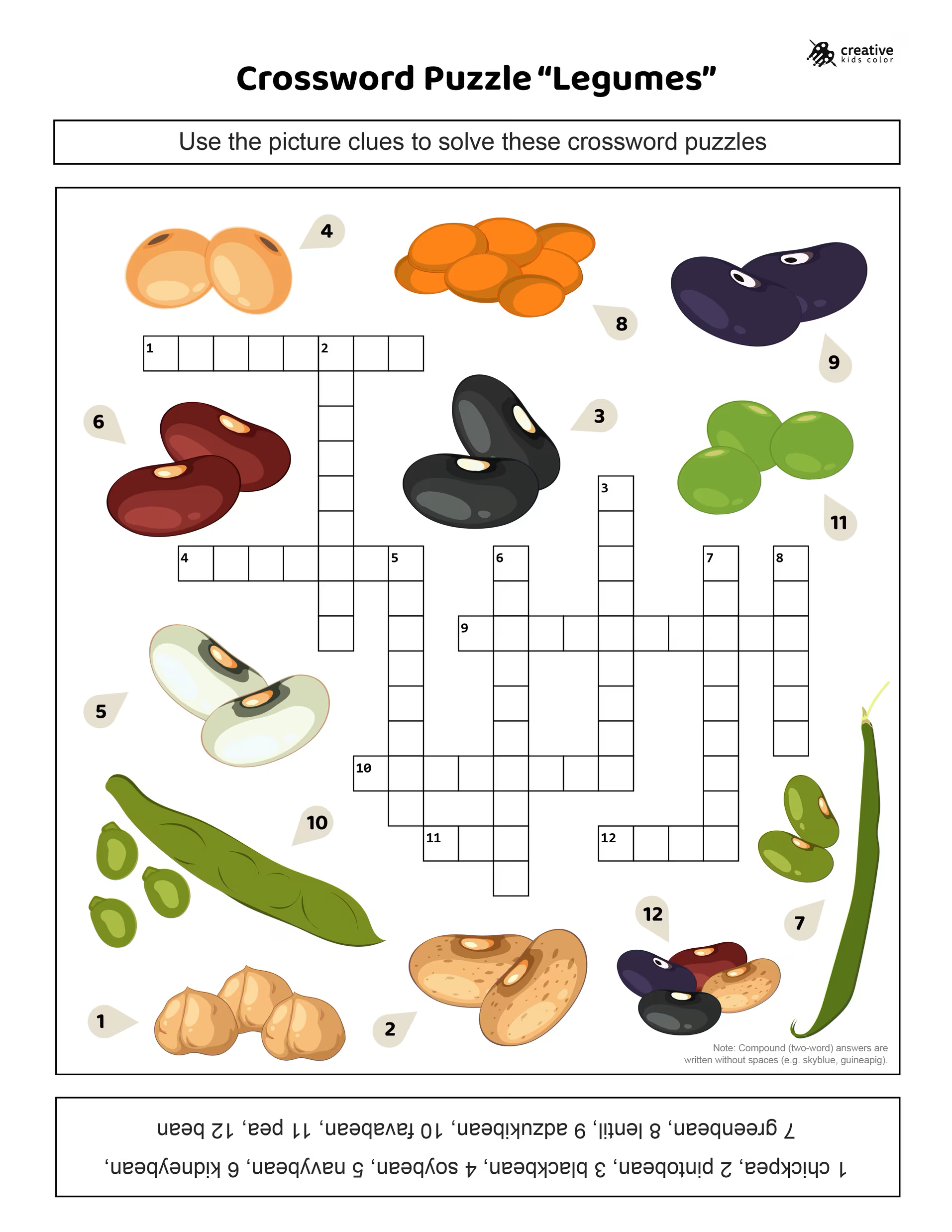 Vegetable Crossword Puzzle