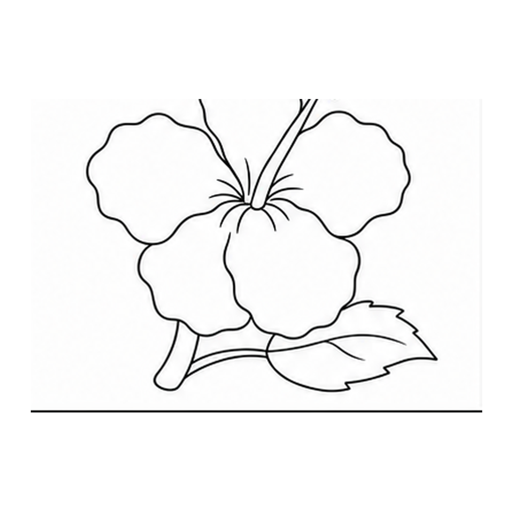 How to Draw a Hibiscus Flower: Easy Step-by-Step Tutorial cover