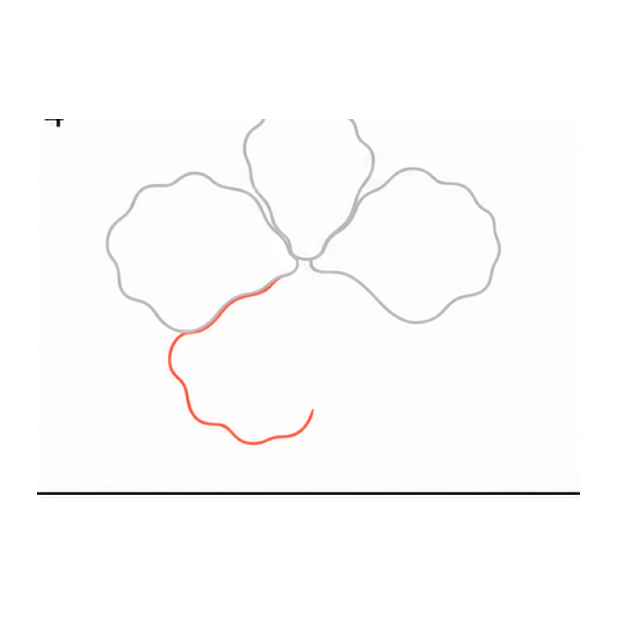 Step 4 of how to draw a hibiscus flower: add the lower-left petal.
