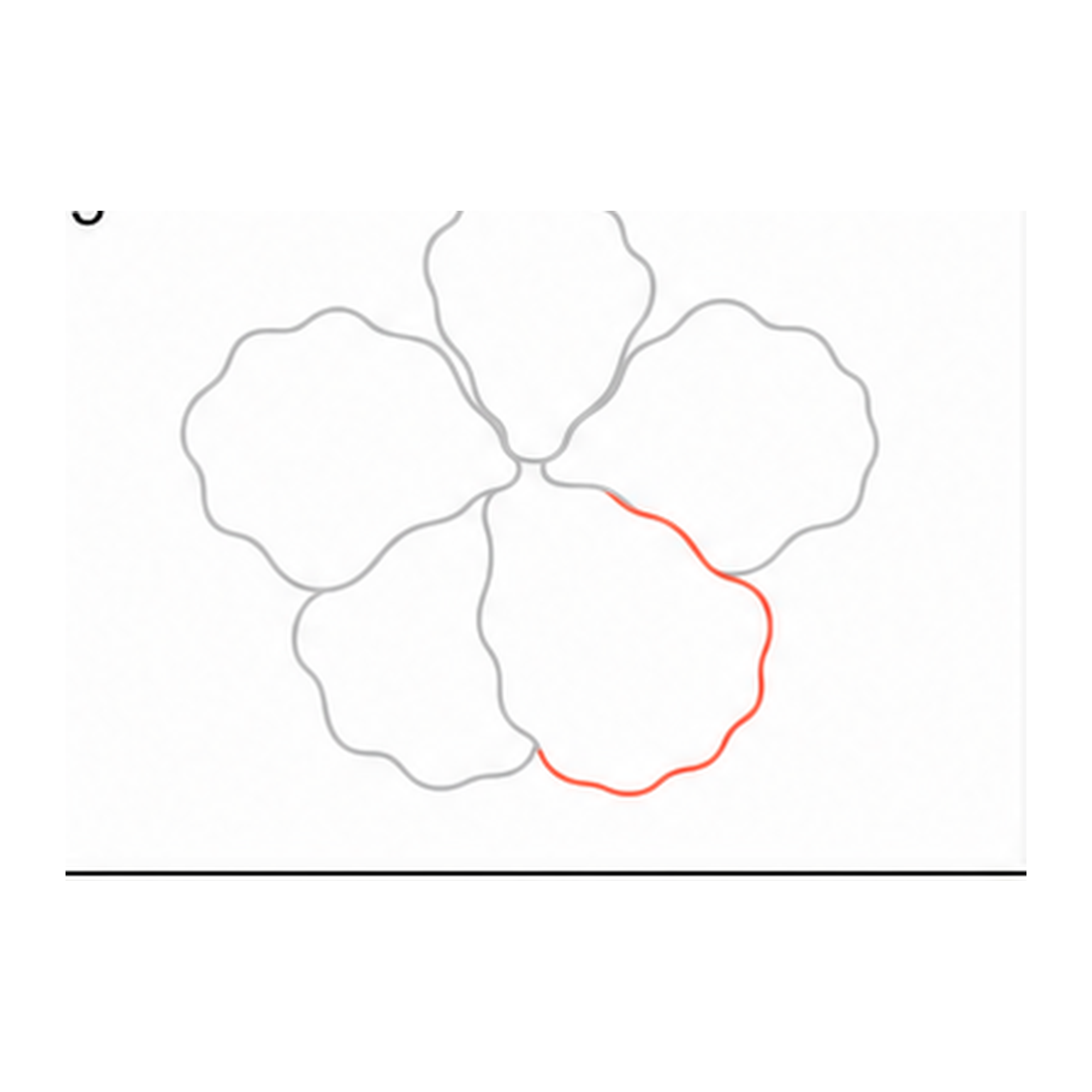 Step 5 of how to draw a hibiscus flower: add the lower-right petal.