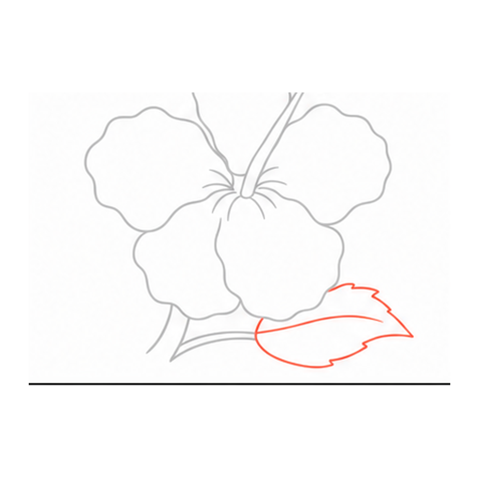 Step 10 of how to draw a hibiscus flower: add the leaf.