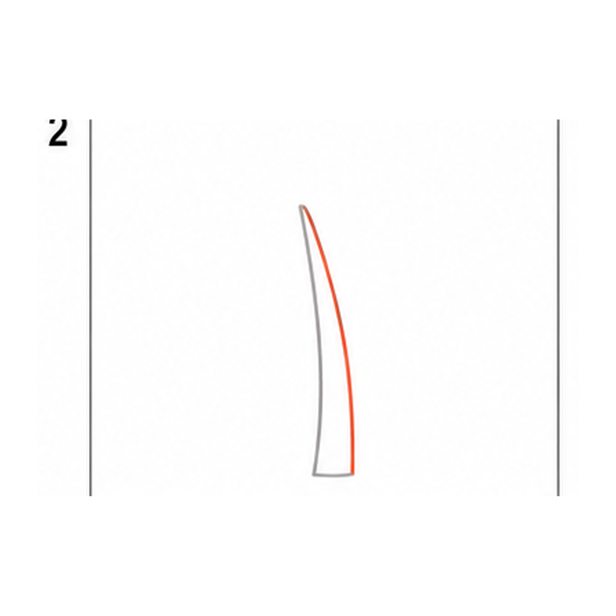 Step 2 of how to draw a palm tree: complete the trunk.